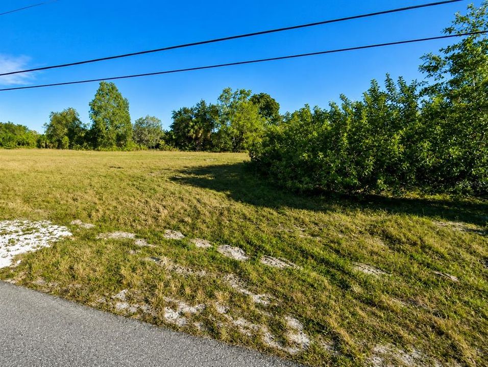For Sale: $29,900 (0.23 acres)