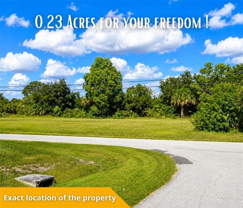 For Sale: $29,900 (0.23 acres)