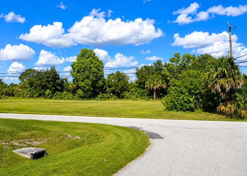 For Sale: $29,900 (0.23 acres)