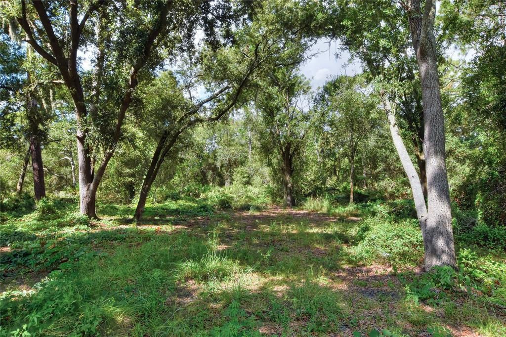 待售: $470,000 (4.71 acres)