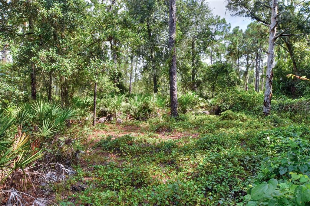 待售: $470,000 (4.71 acres)
