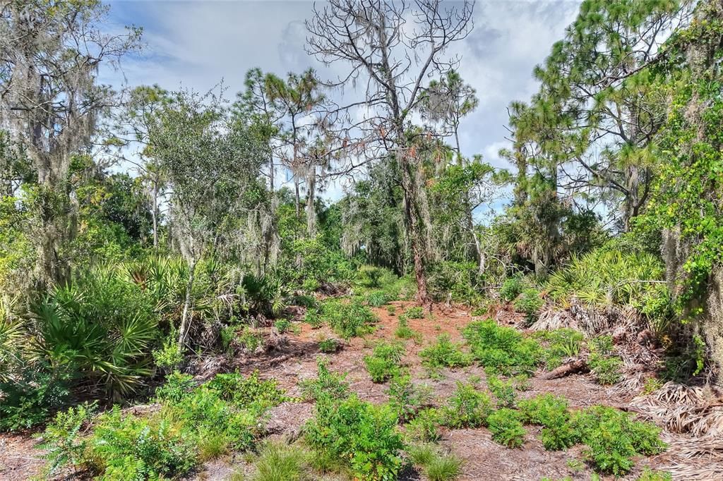 待售: $470,000 (4.71 acres)