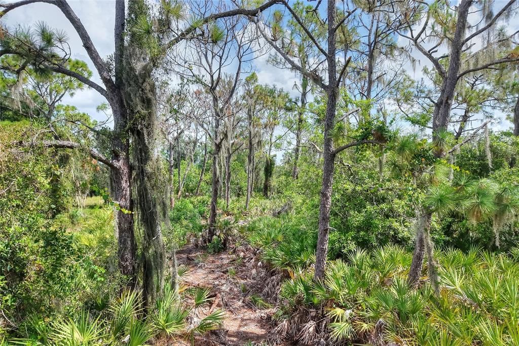待售: $470,000 (4.71 acres)