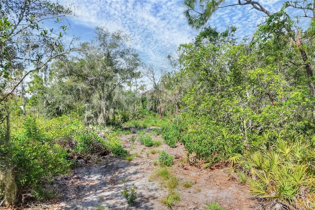 待售: $470,000 (4.71 acres)