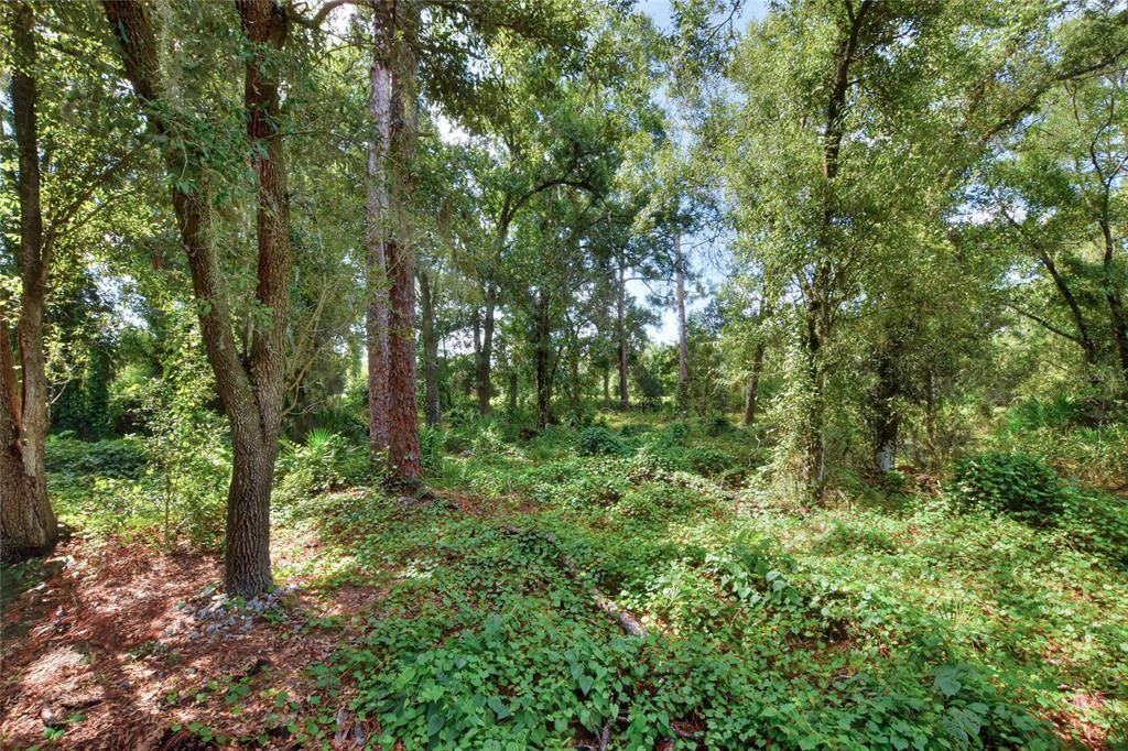 待售: $470,000 (4.71 acres)