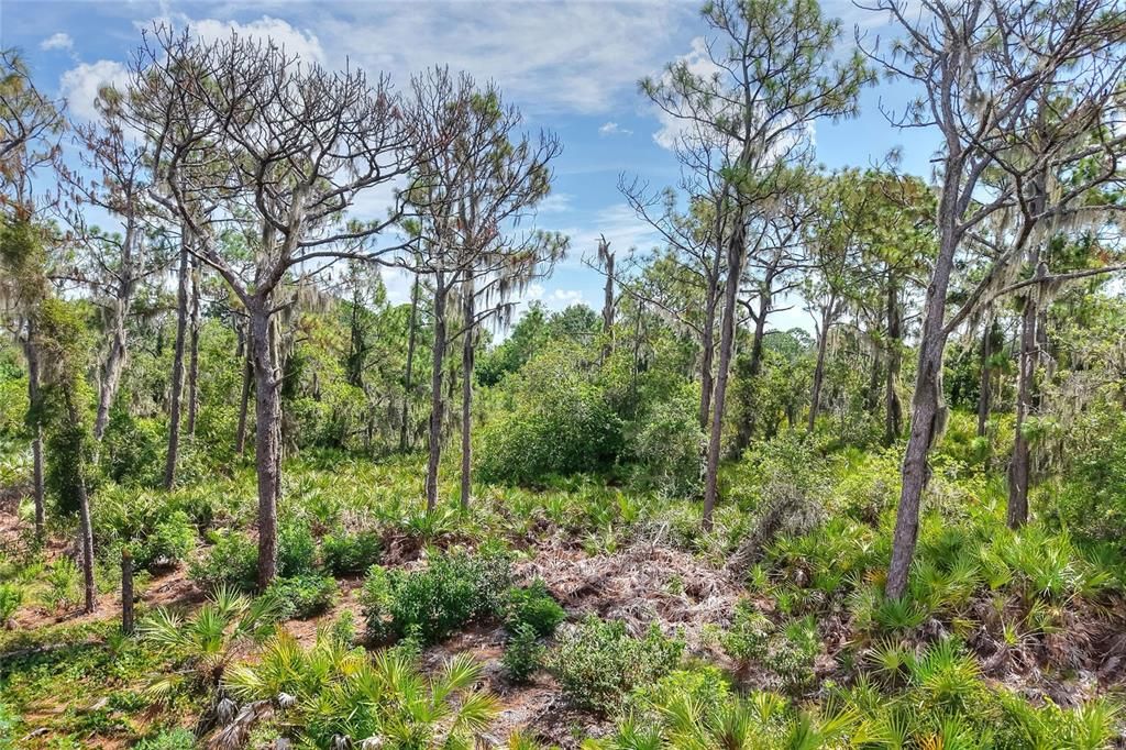 待售: $470,000 (4.71 acres)