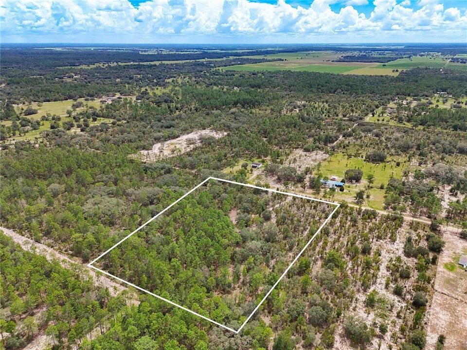 For Sale: $115,000 (7.17 acres)