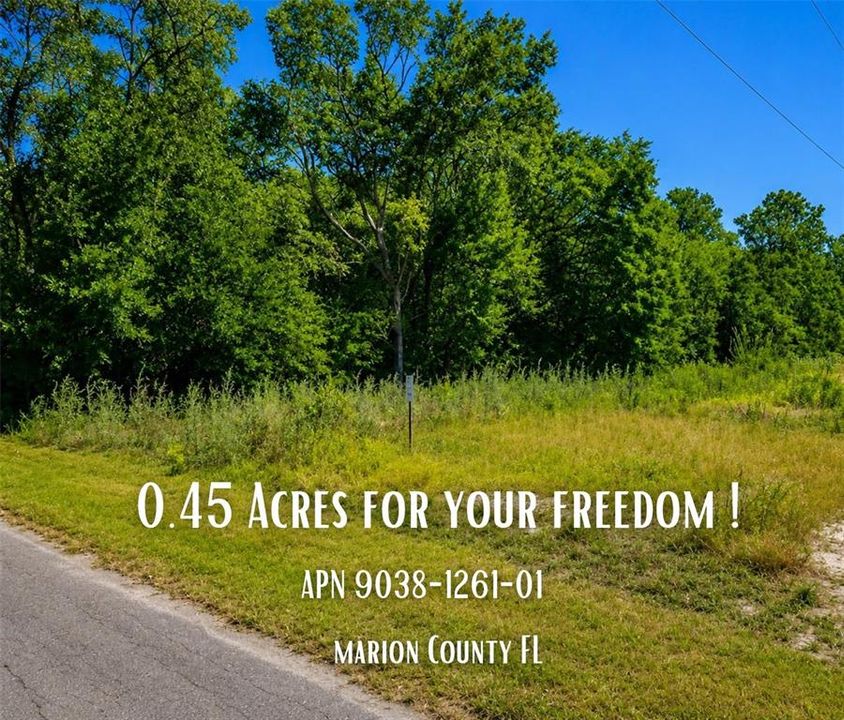 For Sale: $27,000 (0.45 acres)