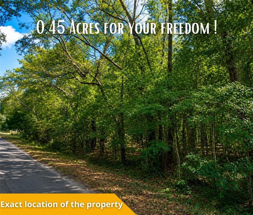 For Sale: $27,000 (0.45 acres)