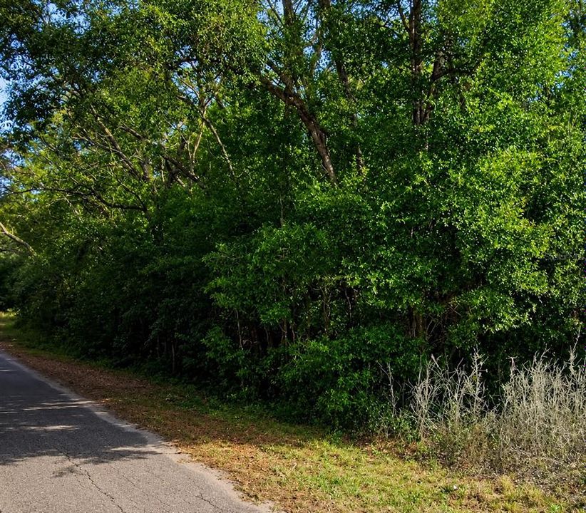 For Sale: $27,000 (0.45 acres)
