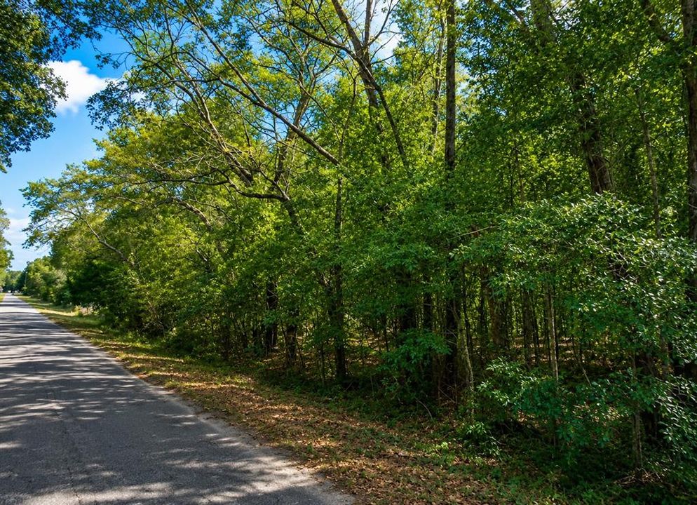 For Sale: $27,000 (0.45 acres)