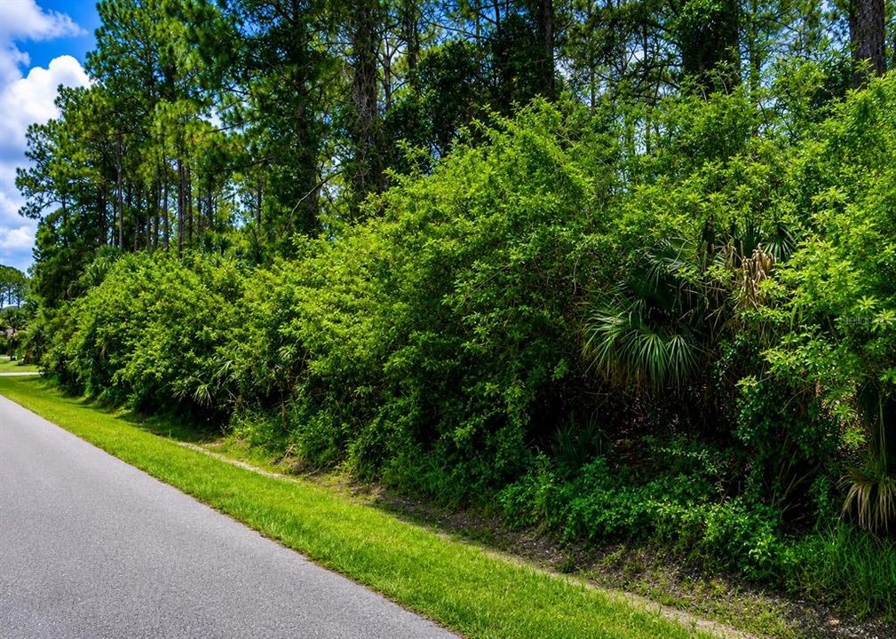 For Sale: $22,900 (0.23 acres)