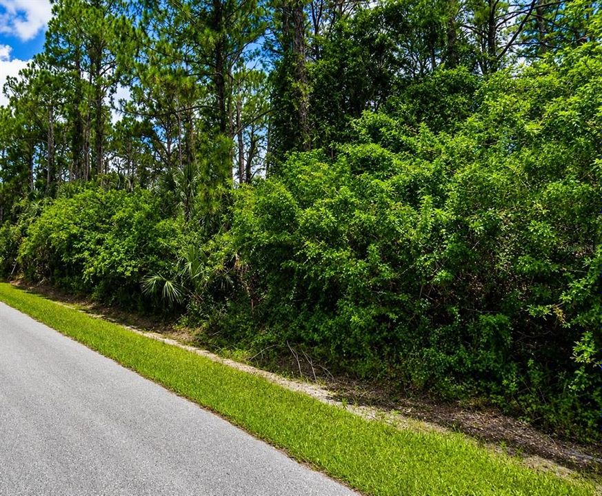 For Sale: $22,900 (0.23 acres)