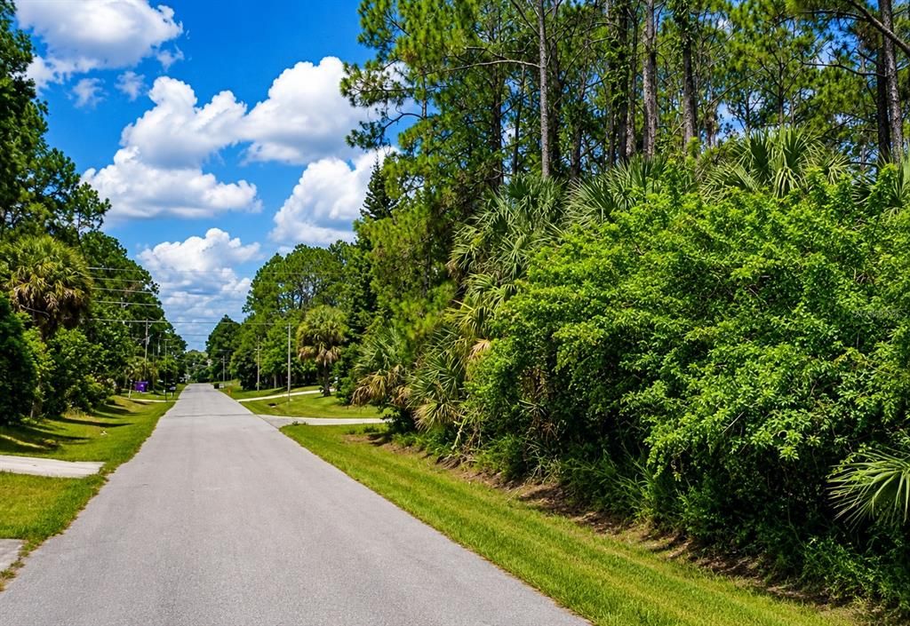 For Sale: $22,900 (0.23 acres)
