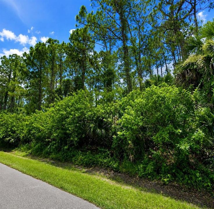 For Sale: $22,900 (0.23 acres)