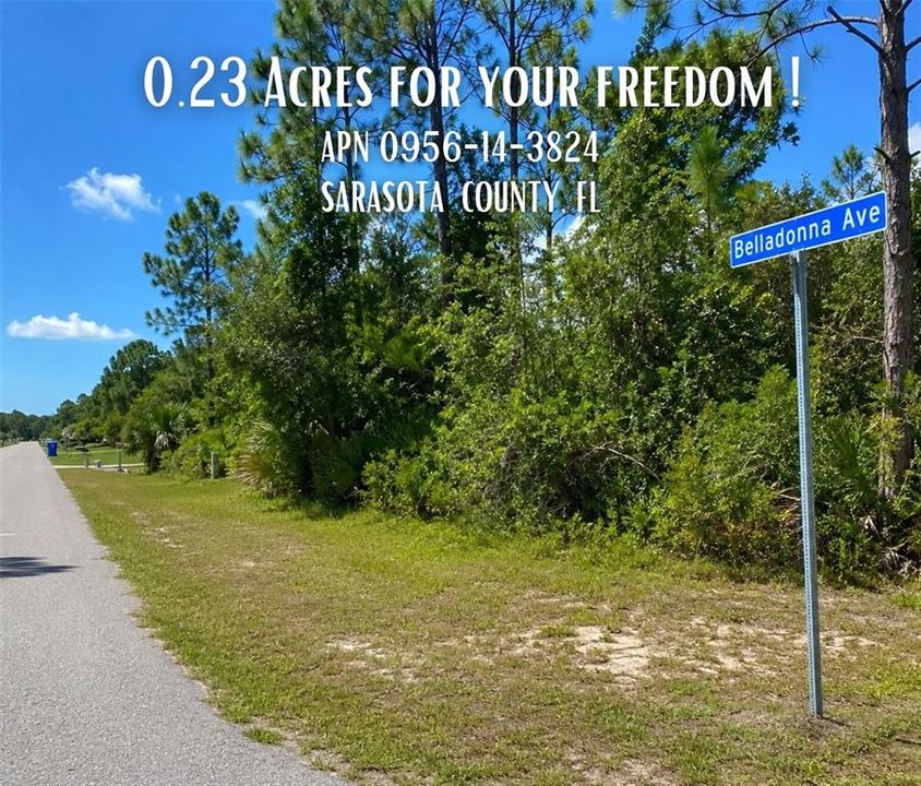 For Sale: $22,900 (0.23 acres)