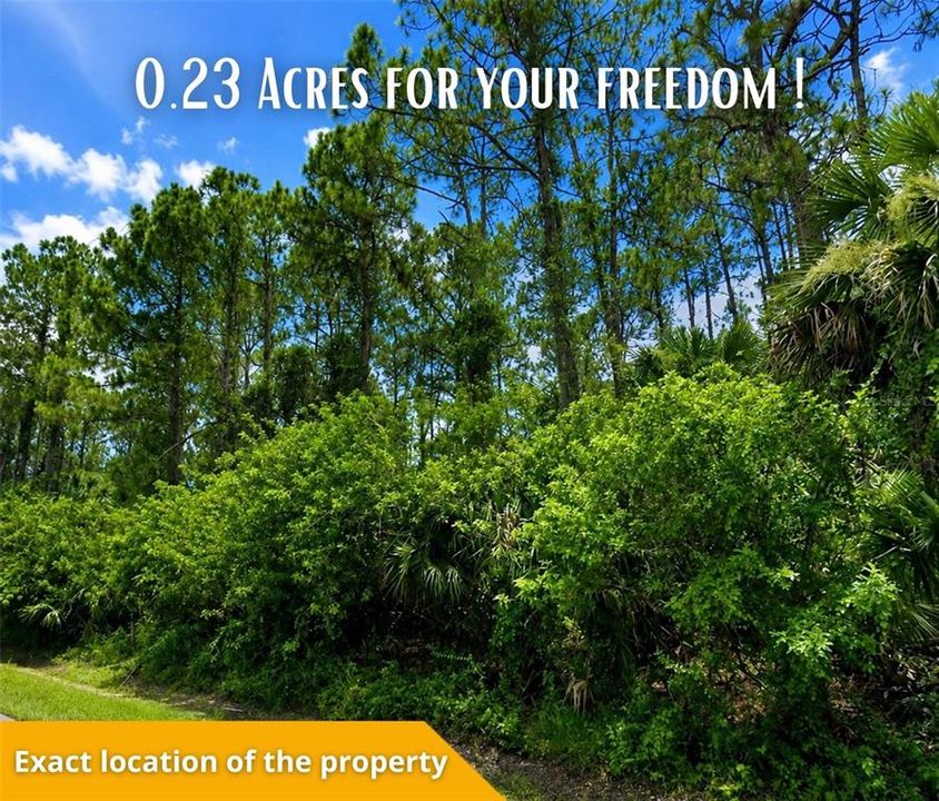 For Sale: $22,900 (0.23 acres)