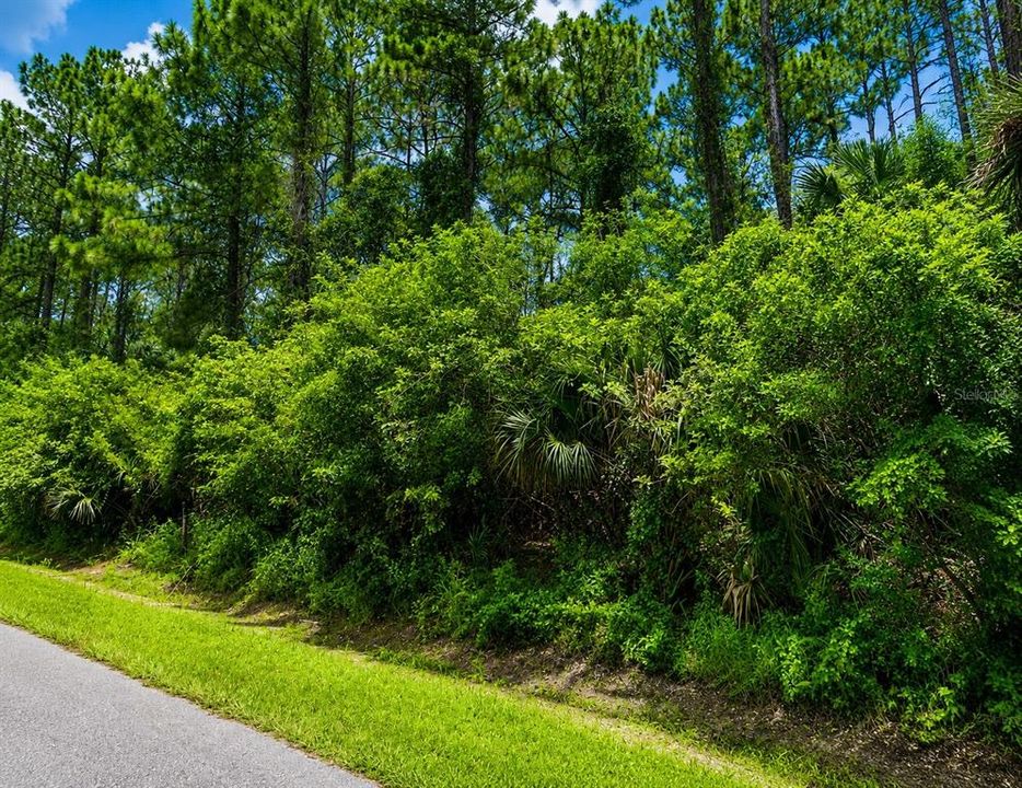 For Sale: $22,900 (0.23 acres)