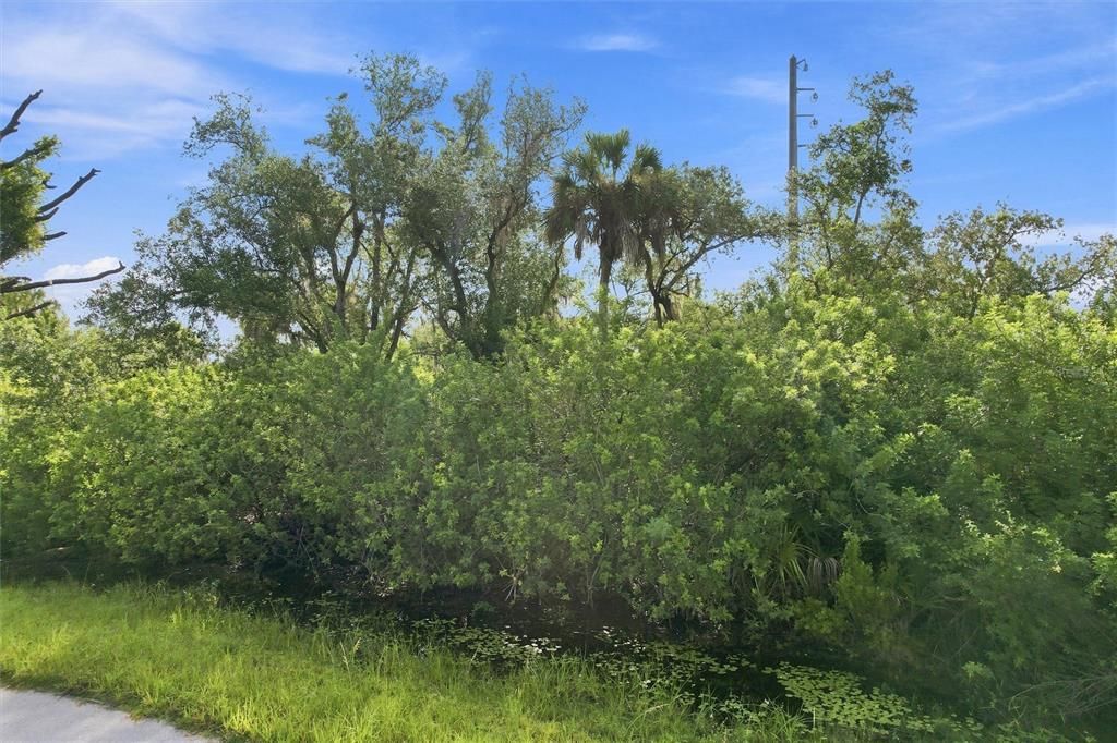 For Sale: $35,000 (0.71 acres)