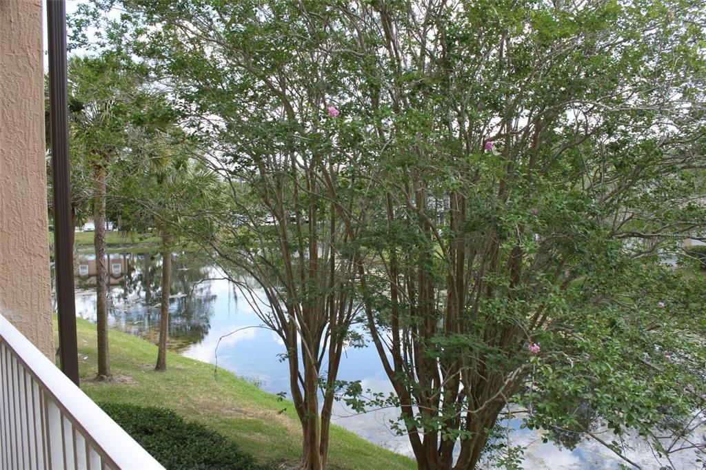 For Rent: $1,650 (2 beds, 2 baths, 1020 Square Feet)