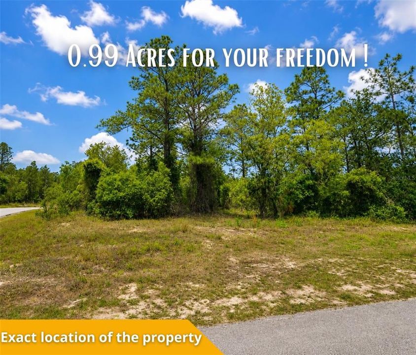 Под контрактом: $22,500 (0.99 acres)