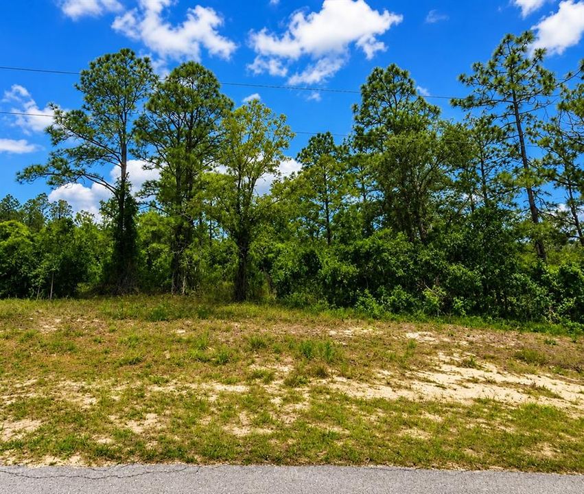 Под контрактом: $22,500 (0.99 acres)