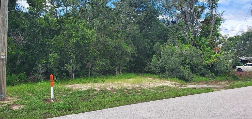 For Sale: $65,000 (0.30 acres)