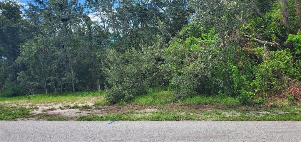 For Sale: $65,000 (0.30 acres)