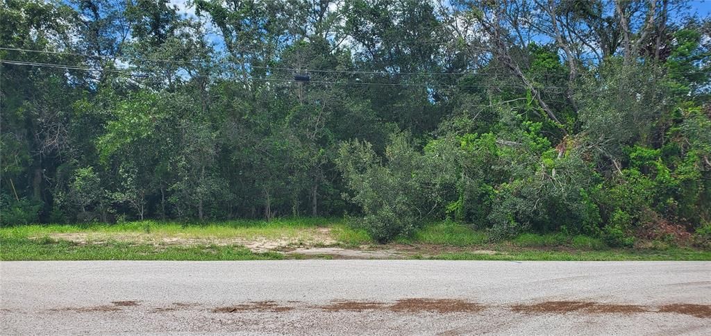 For Sale: $65,000 (0.30 acres)