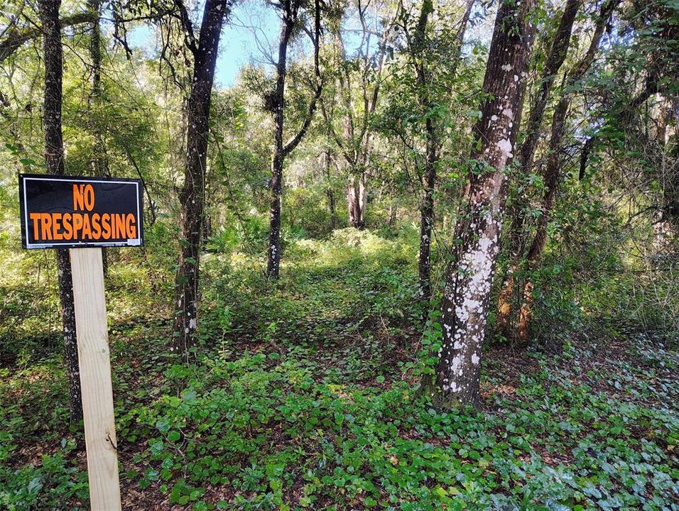 For Sale: $32,000 (1.13 acres)