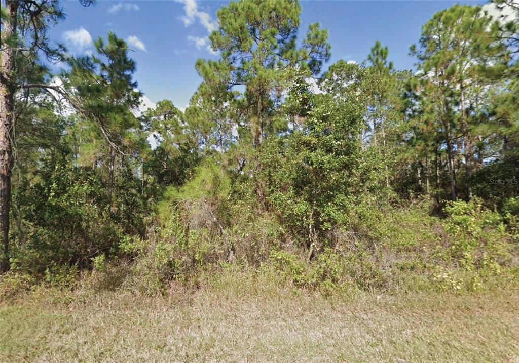 待售: $38,000 (0.50 acres)