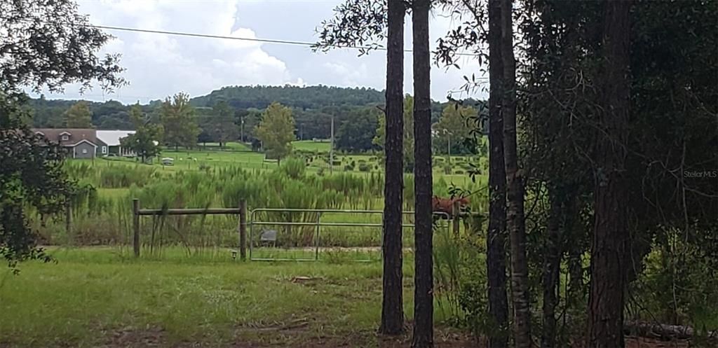 For Sale: $550,000 (10.00 acres)