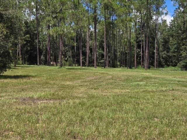 For Sale: $550,000 (10.00 acres)