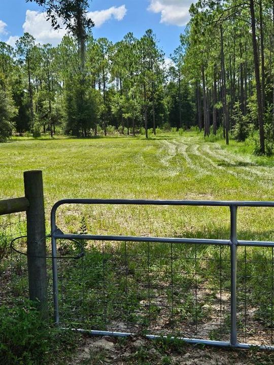 For Sale: $550,000 (10.00 acres)