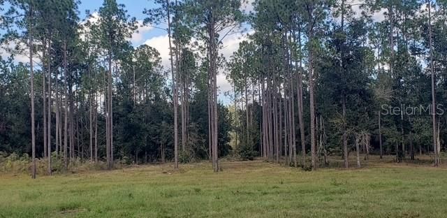 For Sale: $550,000 (10.00 acres)