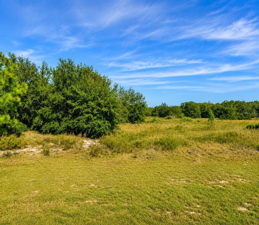 For Sale: $13,000 (0.23 acres)
