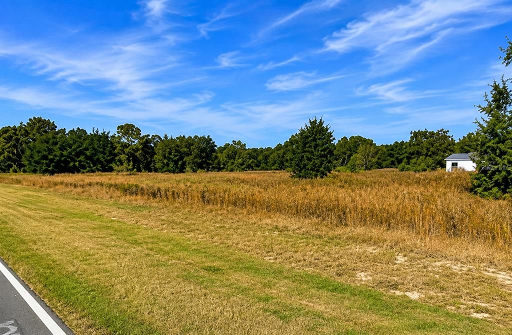 For Sale: $13,000 (0.23 acres)