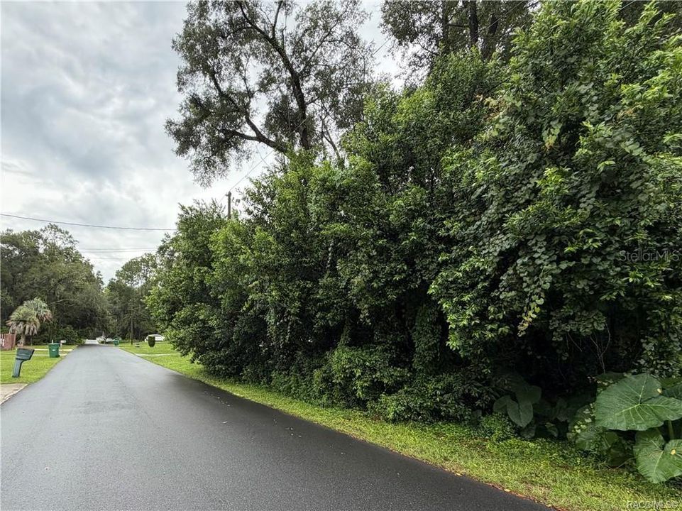 待售: $16,500 (0.22 acres)