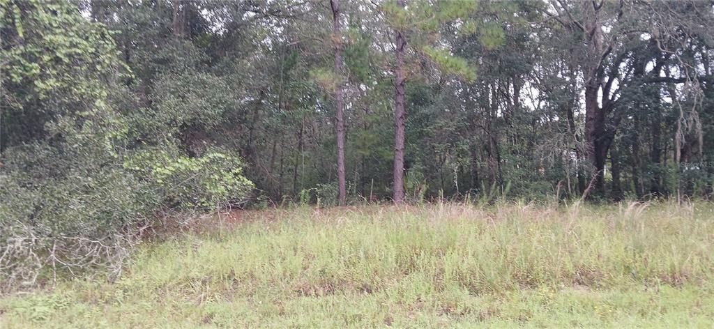 En Venta: $21,000 (0.34 acres)
