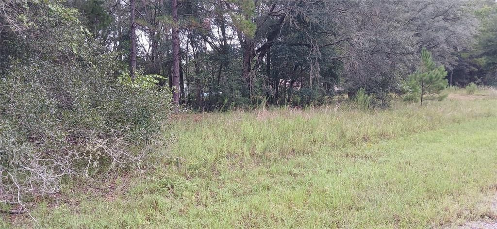 En Venta: $21,000 (0.34 acres)