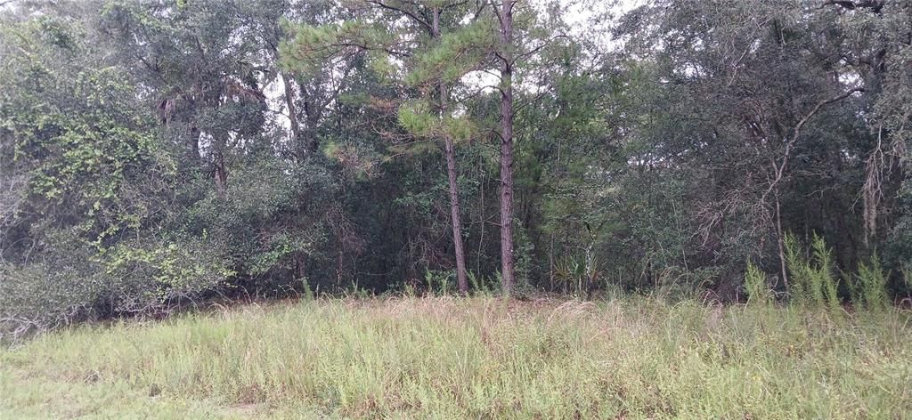 En Venta: $21,000 (0.34 acres)