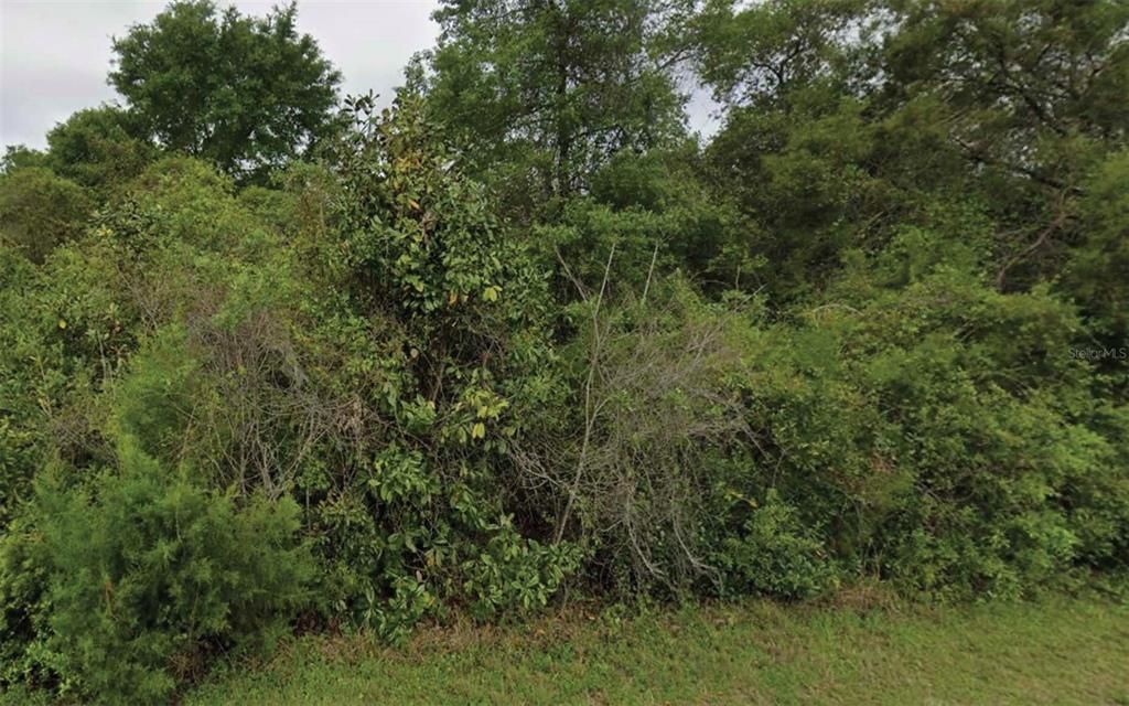 待售: $8,000 (0.21 acres)