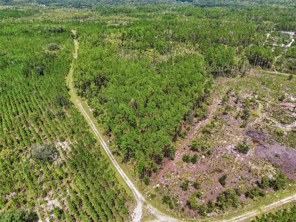 For Sale: $199,900 (13.13 acres)