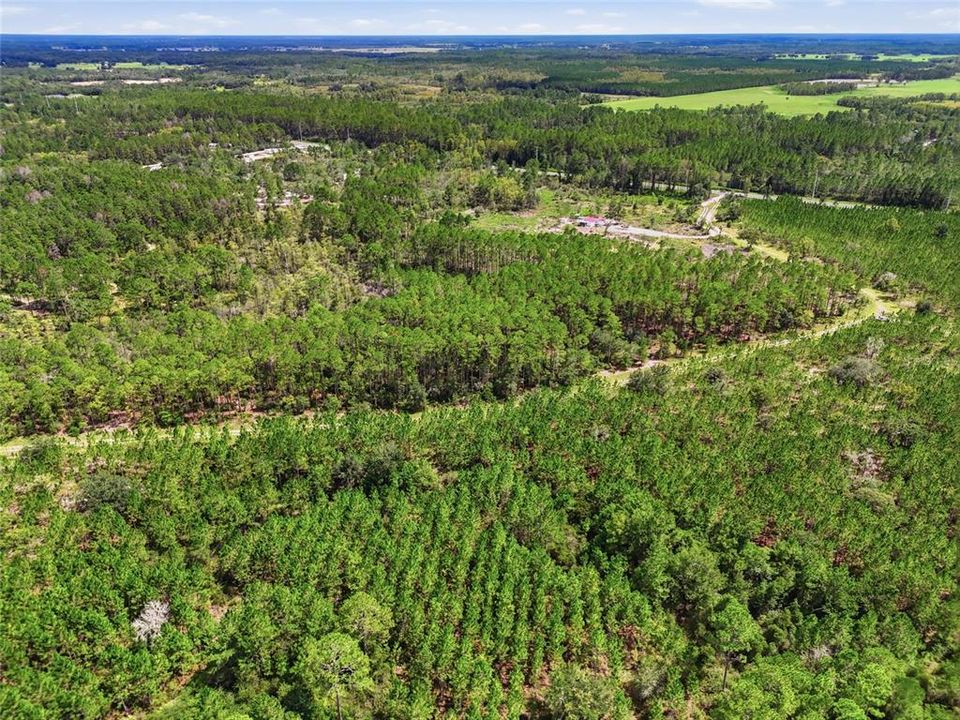 For Sale: $199,900 (13.13 acres)
