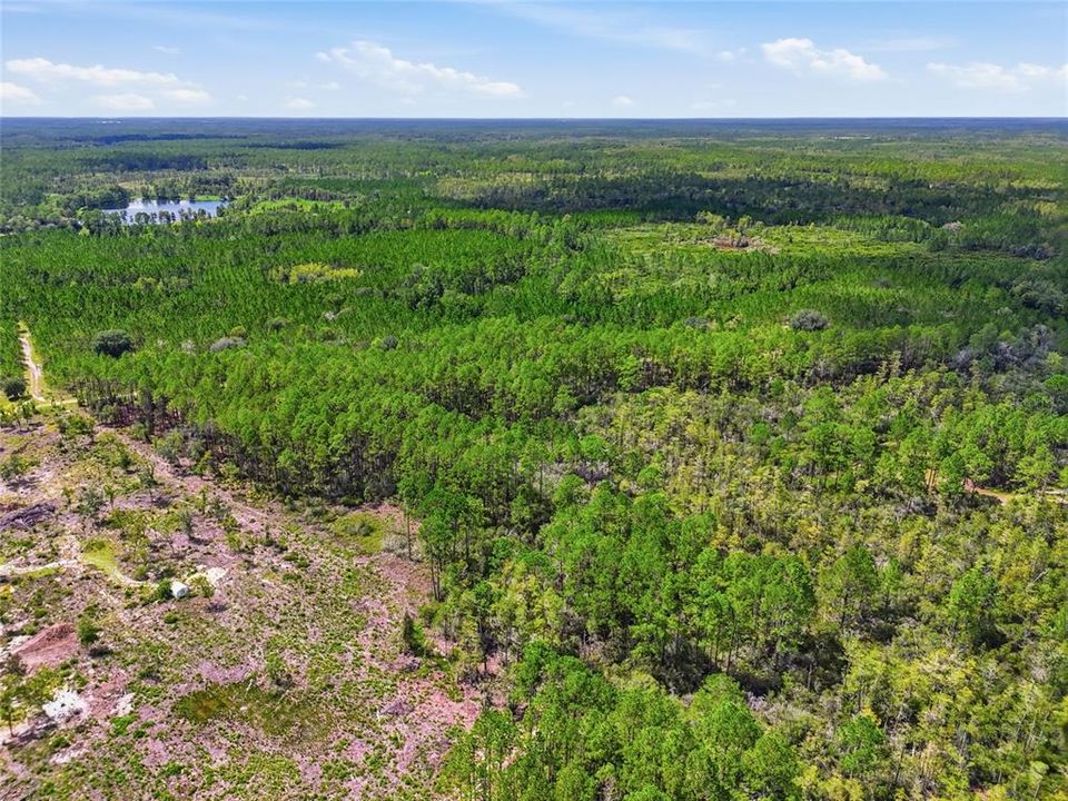 For Sale: $199,900 (13.13 acres)