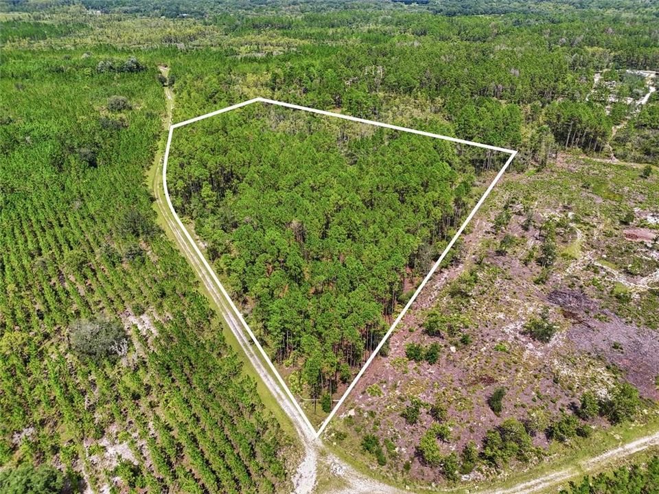 For Sale: $199,900 (13.13 acres)
