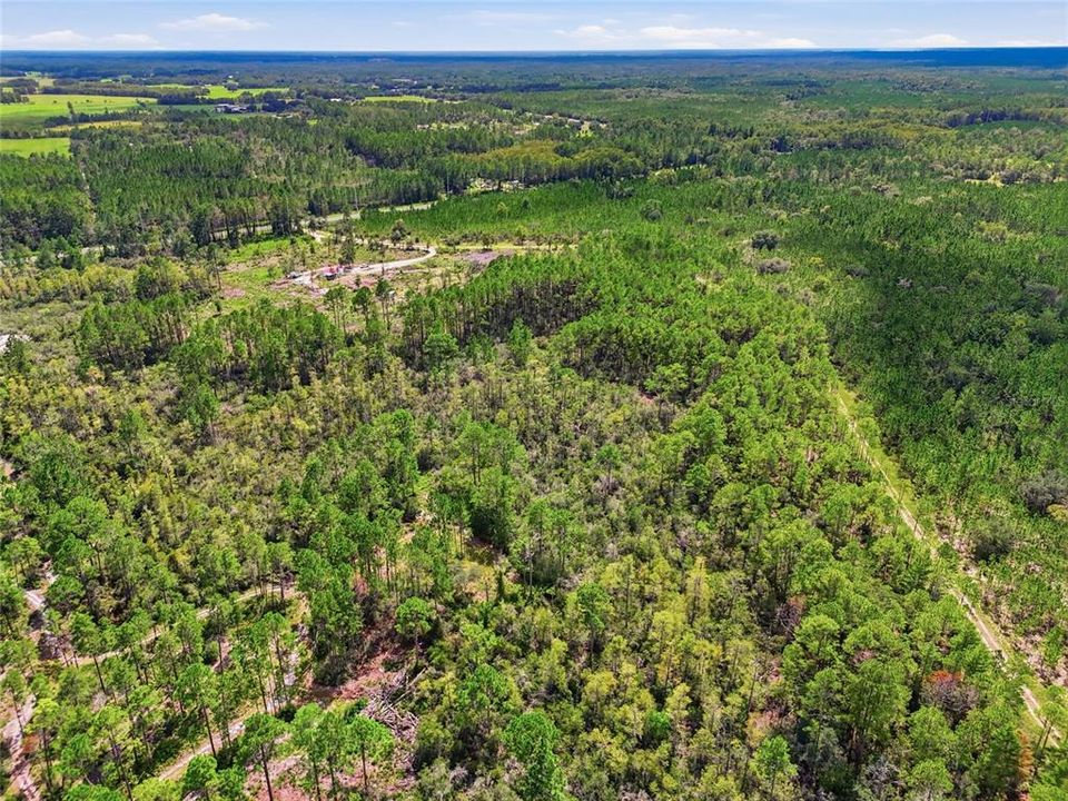 For Sale: $199,900 (13.13 acres)