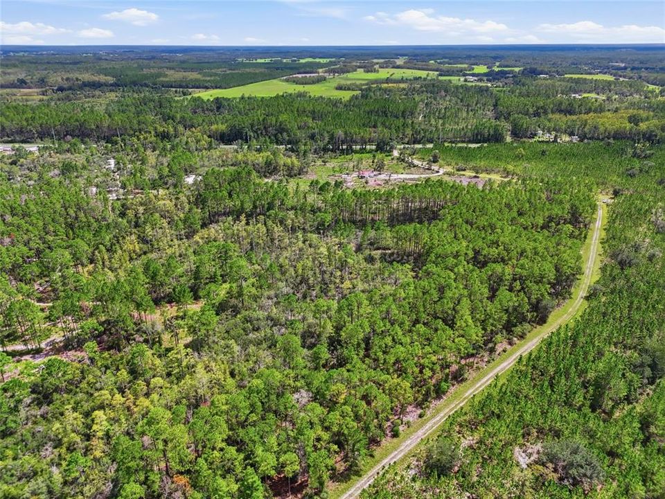For Sale: $199,900 (13.13 acres)