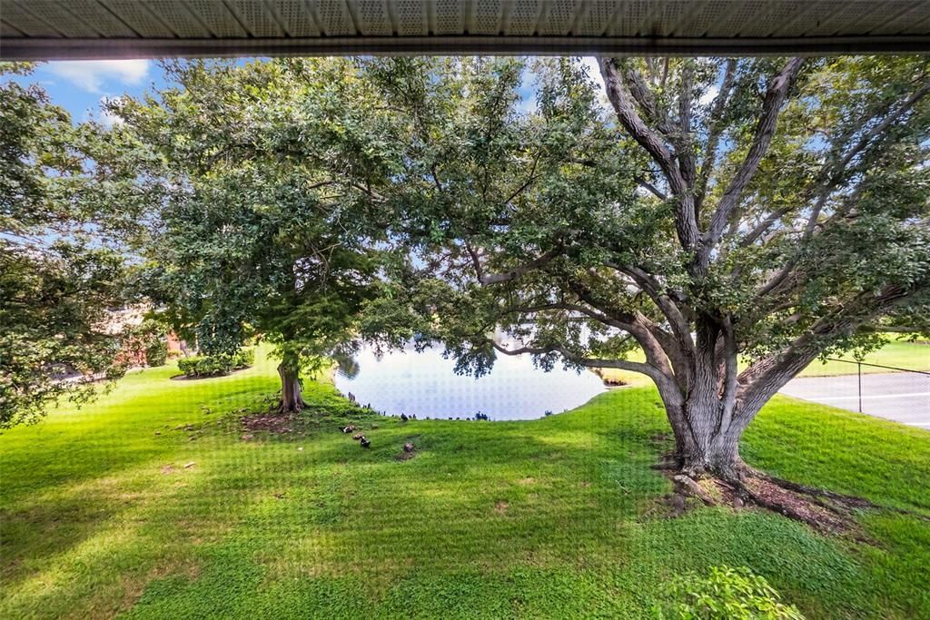 For Sale: $114,000 (1 beds, 1 baths, 856 Square Feet)