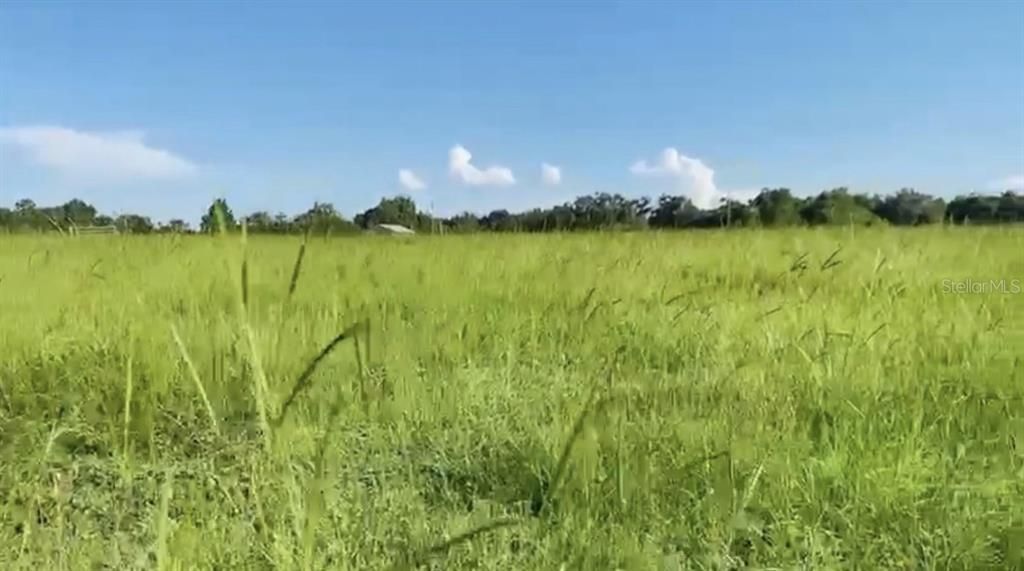 For Sale: $329,500 (7.50 acres)